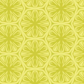 Yellow Citrus Pattern
