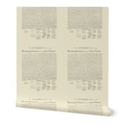 8x8" (swatch size) Declaration of Independence (mini)