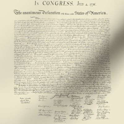 8x8" (swatch size) Declaration of Independence (mini)