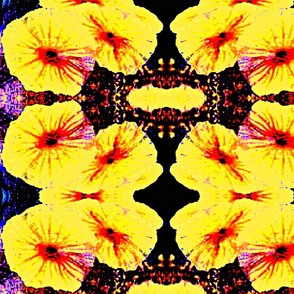  bright yellow flowers mirrored