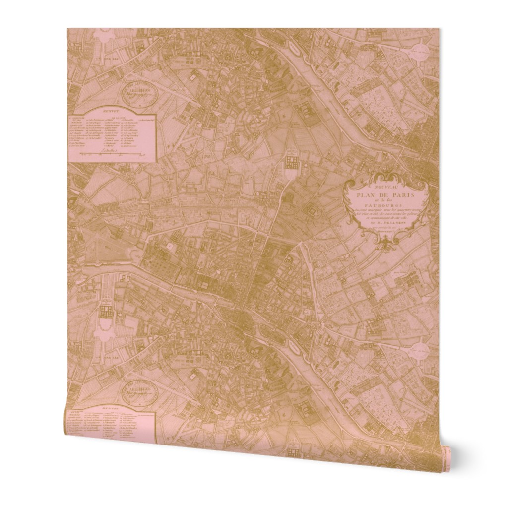 Plan de Paris ~ Paris Map ~ Pink and Gold
