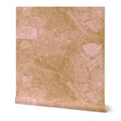 Plan de Paris ~ Paris Map ~ Pink and Gold