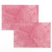 Plan de Paris ~ Paris Map ~ Pink