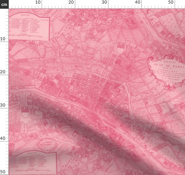 Plan de Paris ~ Paris Map ~ Pink - Spoonflower