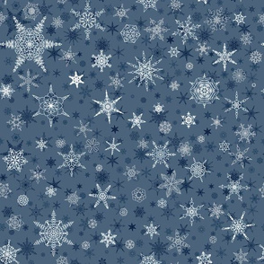 Winter Snowflake 3