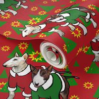 Christmas Bull Terriers