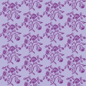 Caslon Rose Purple