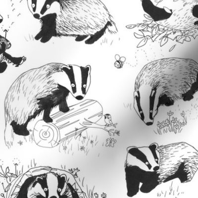 Badgers Playtime