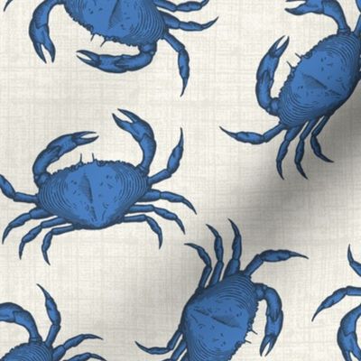 blue crab