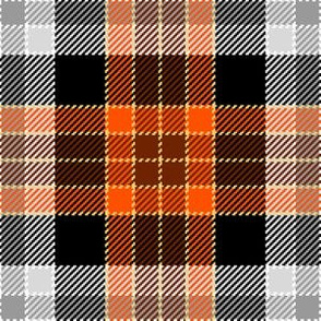 02356293 : tartan : synergy0008