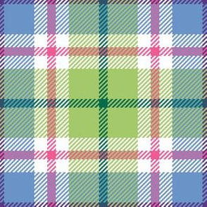 02356333 : tartan : synergy0011