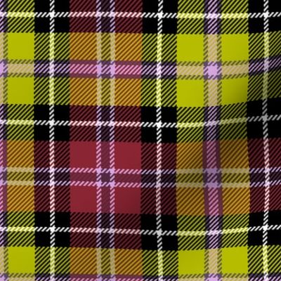 02356335 : tartan : synergy0013