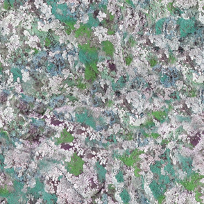 Mossy Lichen