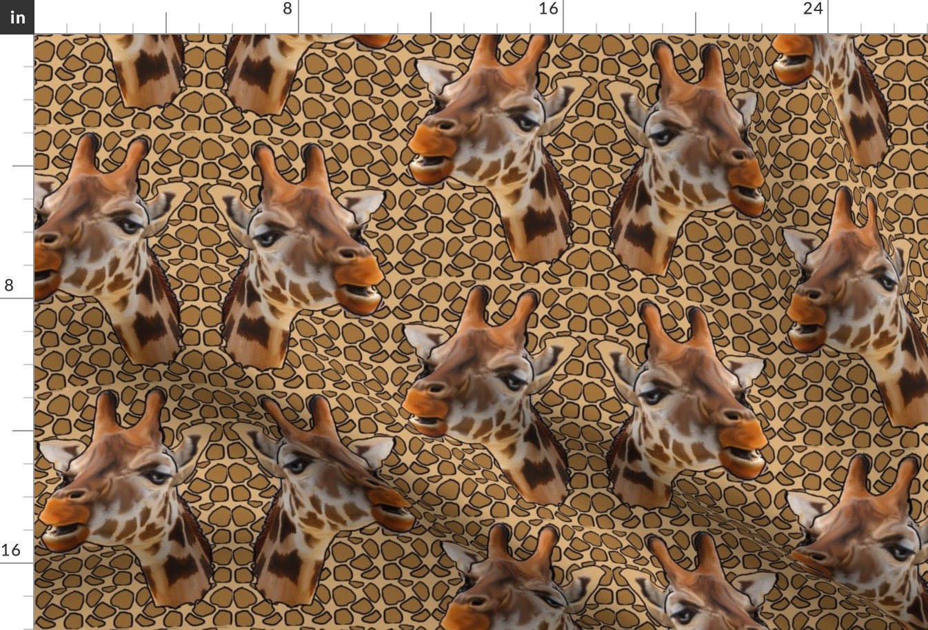 giraffes