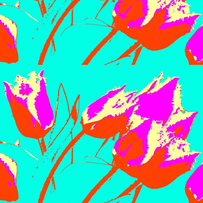 tulips together again