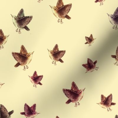 Sparrows in retro colors