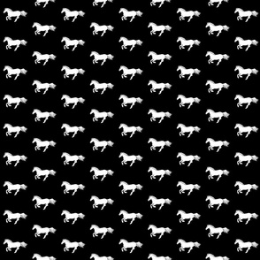 White Pony on Black