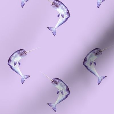 Narwhal on Purple Mist 