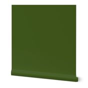 solid fern green (425b1d)