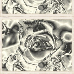 Photograph 3435 chrome rose