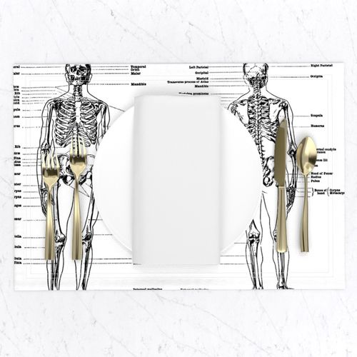 anatomical study of a skeleton