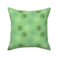 Sea Gift - Sand Dollars green