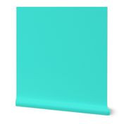 Turquoise Solid 