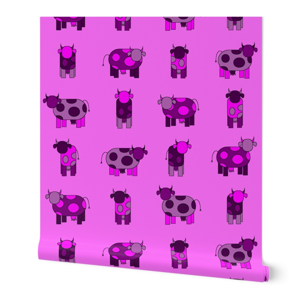 bright pink cows