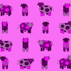 bright pink cows