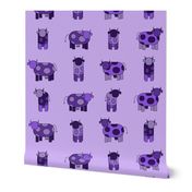 light purple cows