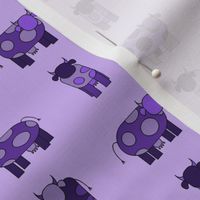 light purple cows