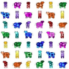Rainbow cows in white