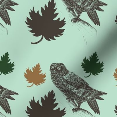 Owls and Leaves