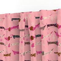 Dappled Dachshunds on Pink