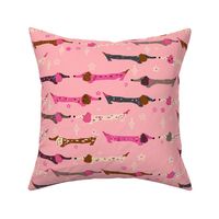 Dappled Dachshunds on Pink