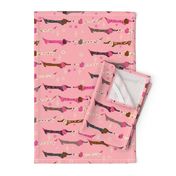 Dappled Dachshunds on Pink