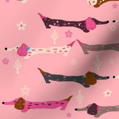 Dappled Dachshunds on Pink