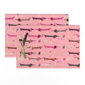 Dappled Dachshunds on Pink