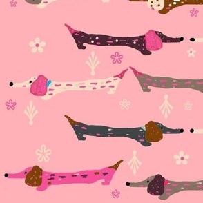 Dappled Dachshunds on Pink