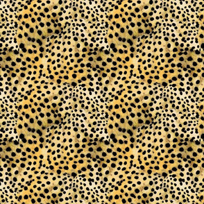 cheetah print