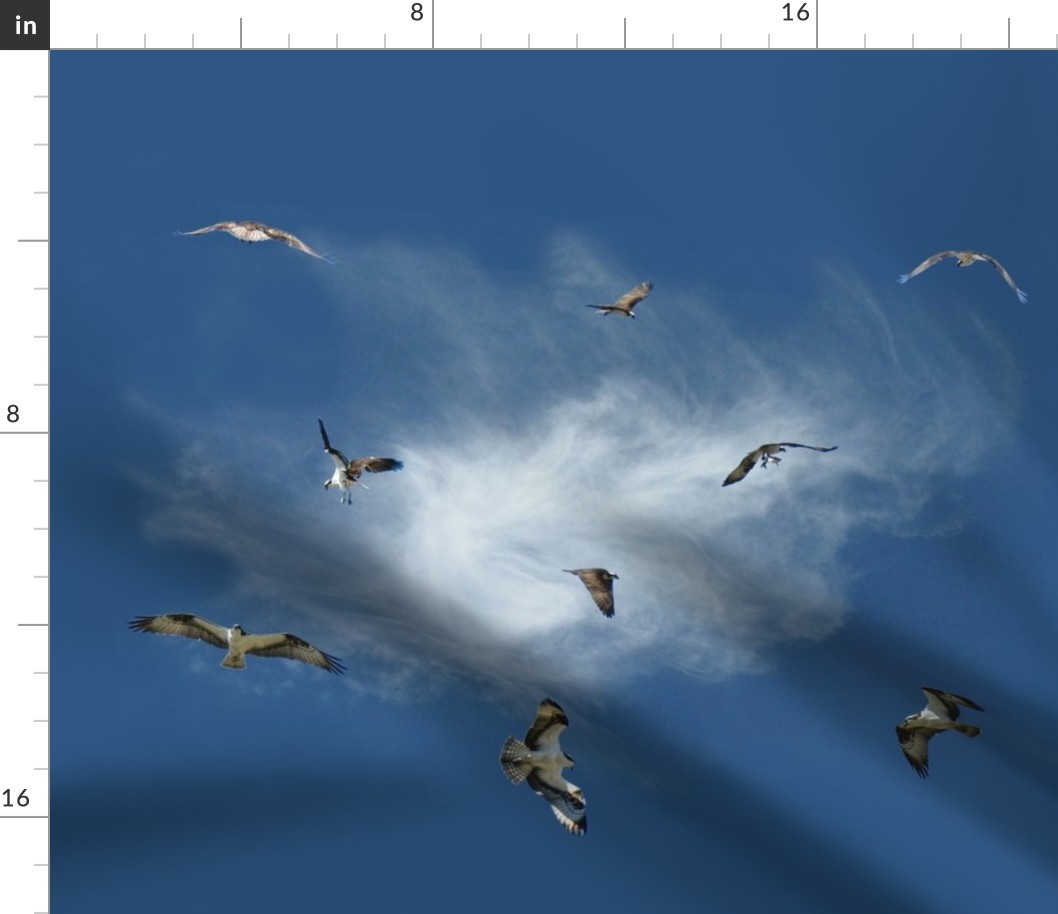 Osprey fishing fabric - real-sky