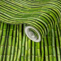 Dim Sum light green bamboo