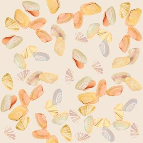 Small Shells Beige