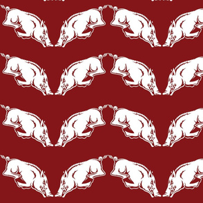 Razorback Chevron