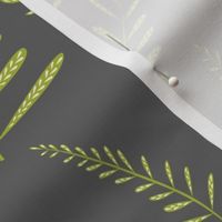 Ferns - grey