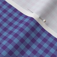 blueberry gingham, 1/4" squares 