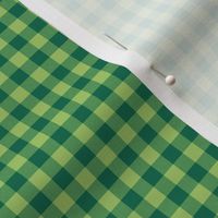 apple and emerald gingham, 1/4" squares 