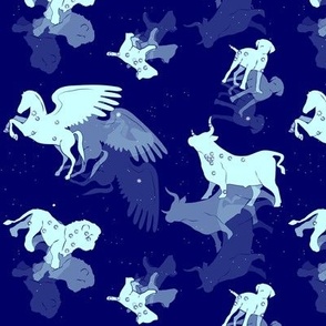 Constellations in Blue