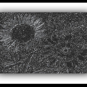 Sunflowers in Black and White