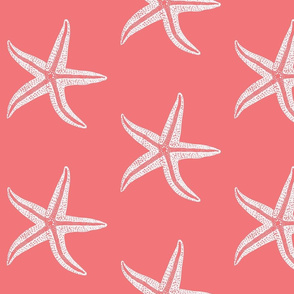 I wish upon a Starfish Coral